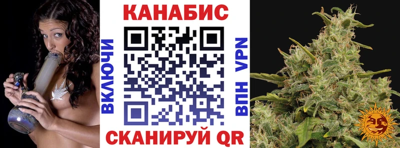 МЕФ Жирновск