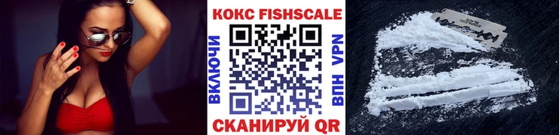 Купить закладки  Жирновск  КОКАИН Fish Scale 