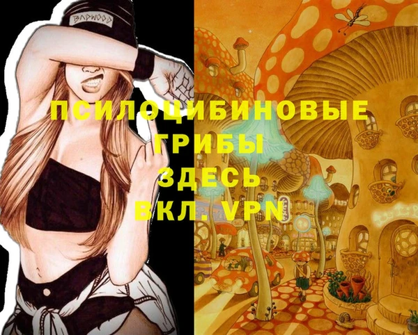 Альфа ПВП Куйбышев