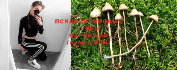 дурь Лагань