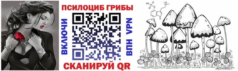 Псилоцибиновые грибы GOLDEN TEACHER  Купить где  Жирновск 